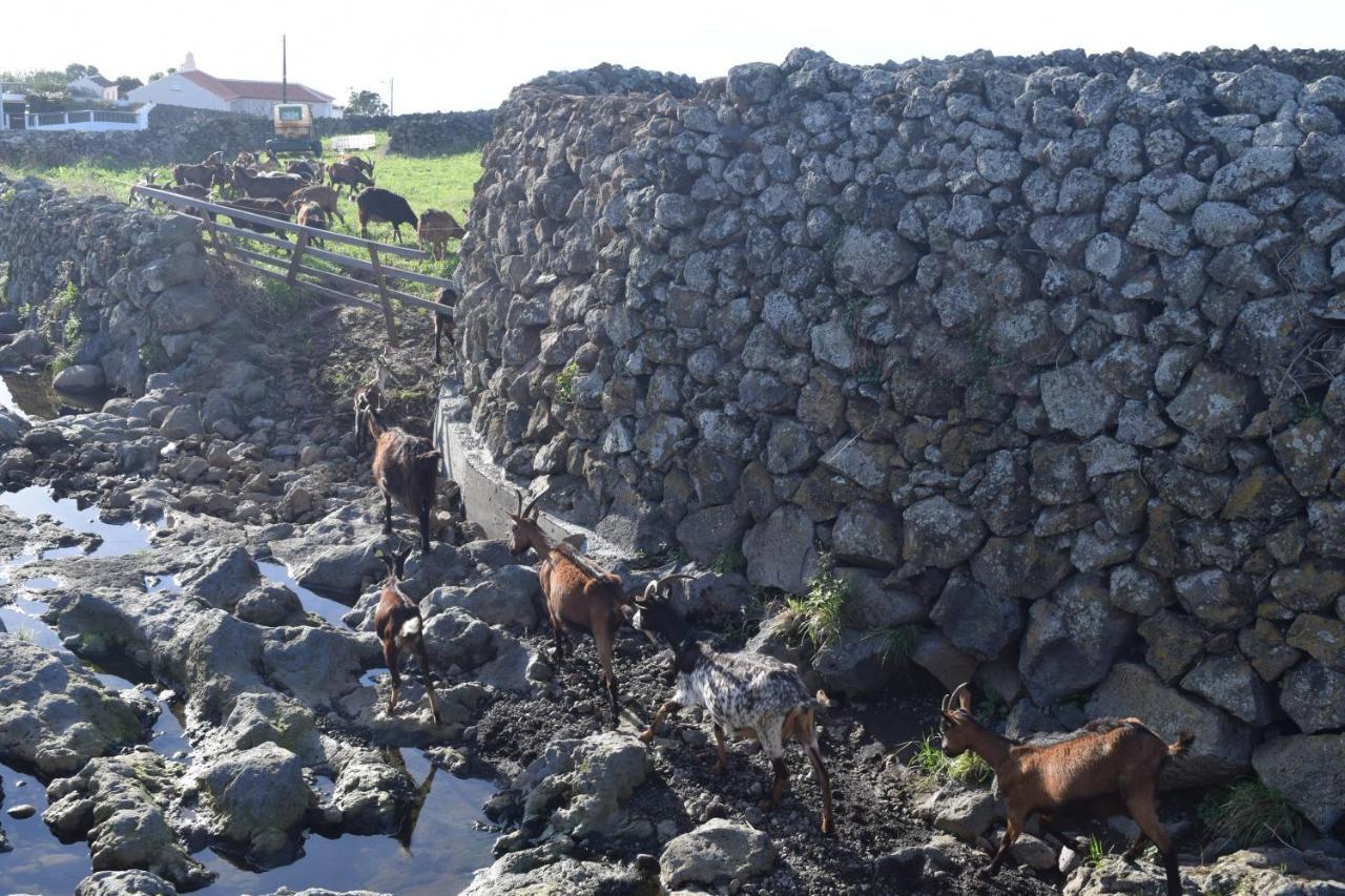 Casas Da Ribeira Villa Santa Bárbara Dış mekan fotoğraf